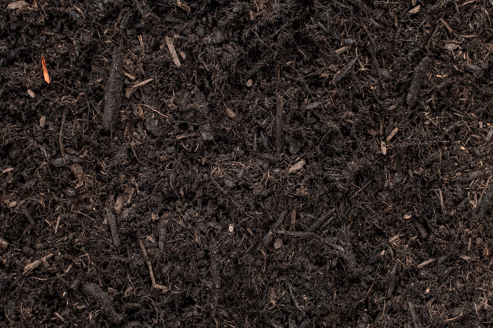 Black Mulch Black Mulch